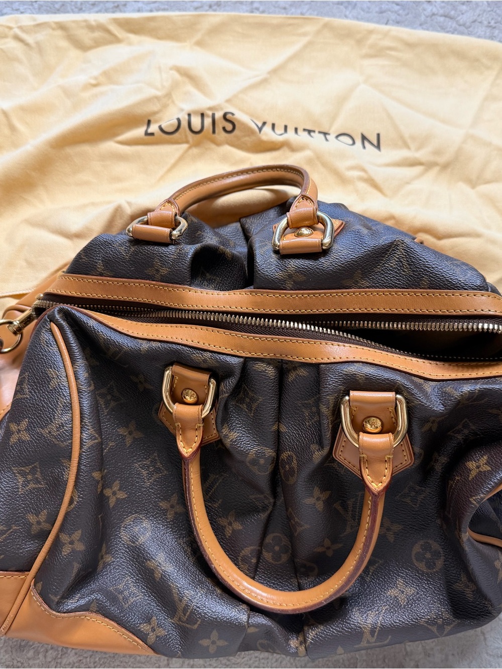 Louis Vuitton Stephen Brown Monogram Canvas Carry Bag